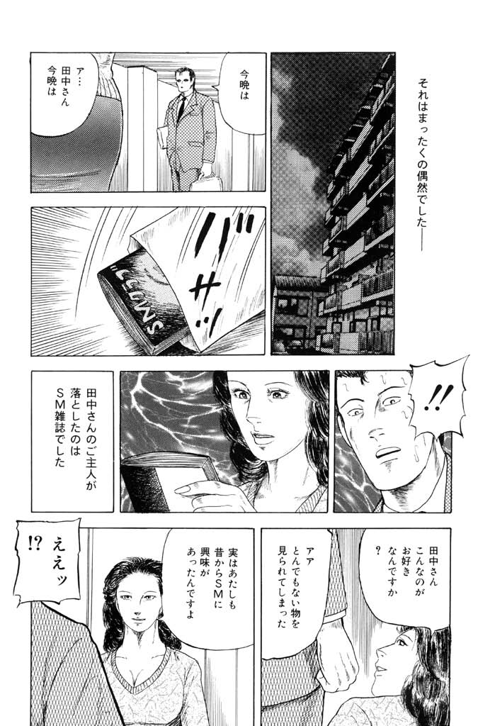 [九紋竜] 熟女緊縛相姦