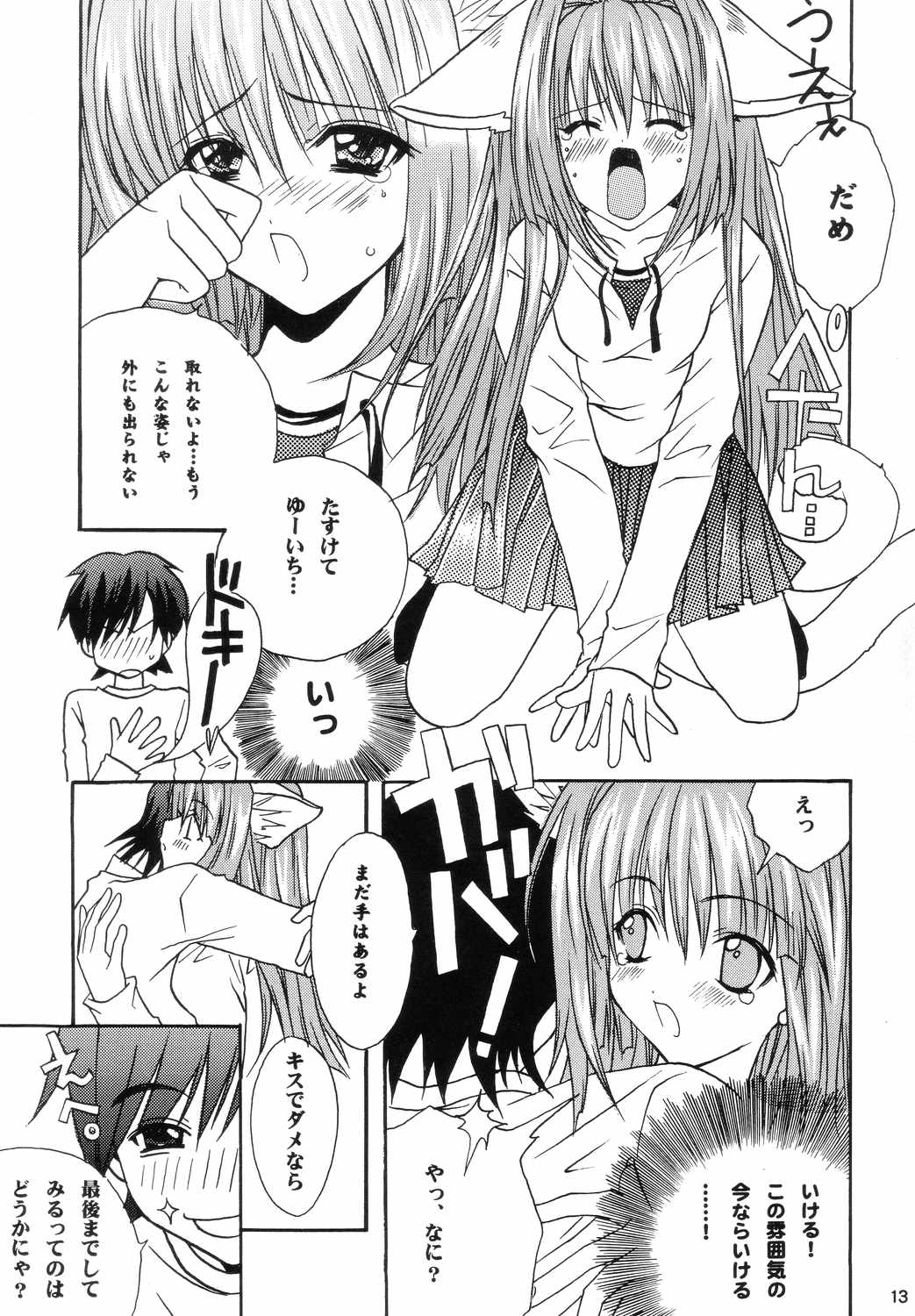 (C66) [M2UNIT (かしのぽん)] アニマルスピリッツ (カノン)