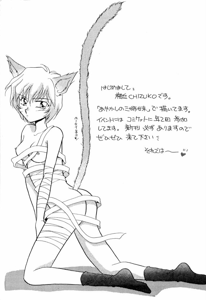 [アンソロジー] アニパロ美姫4 (よろず)