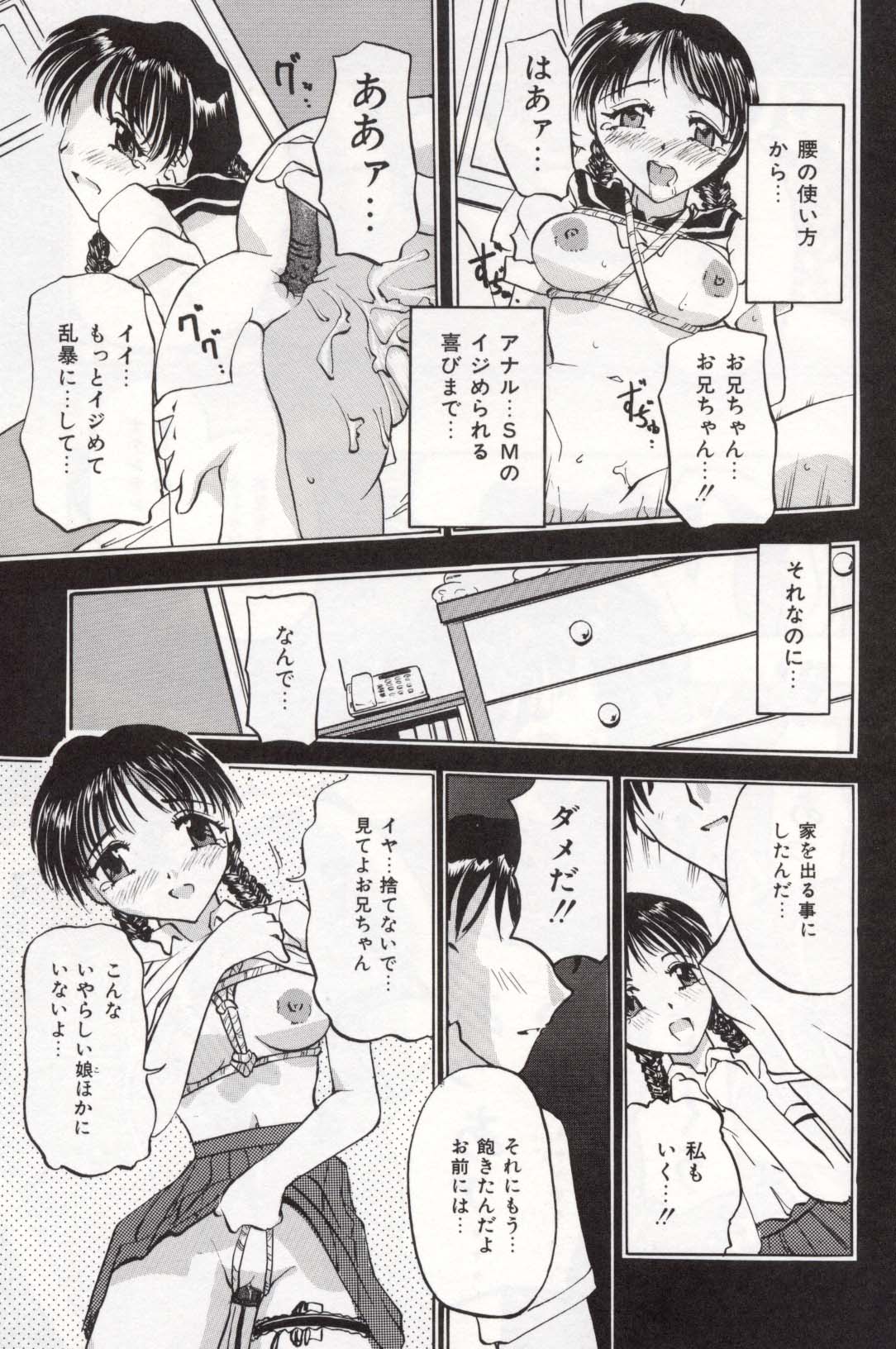 【ペガサス】ペットショップ