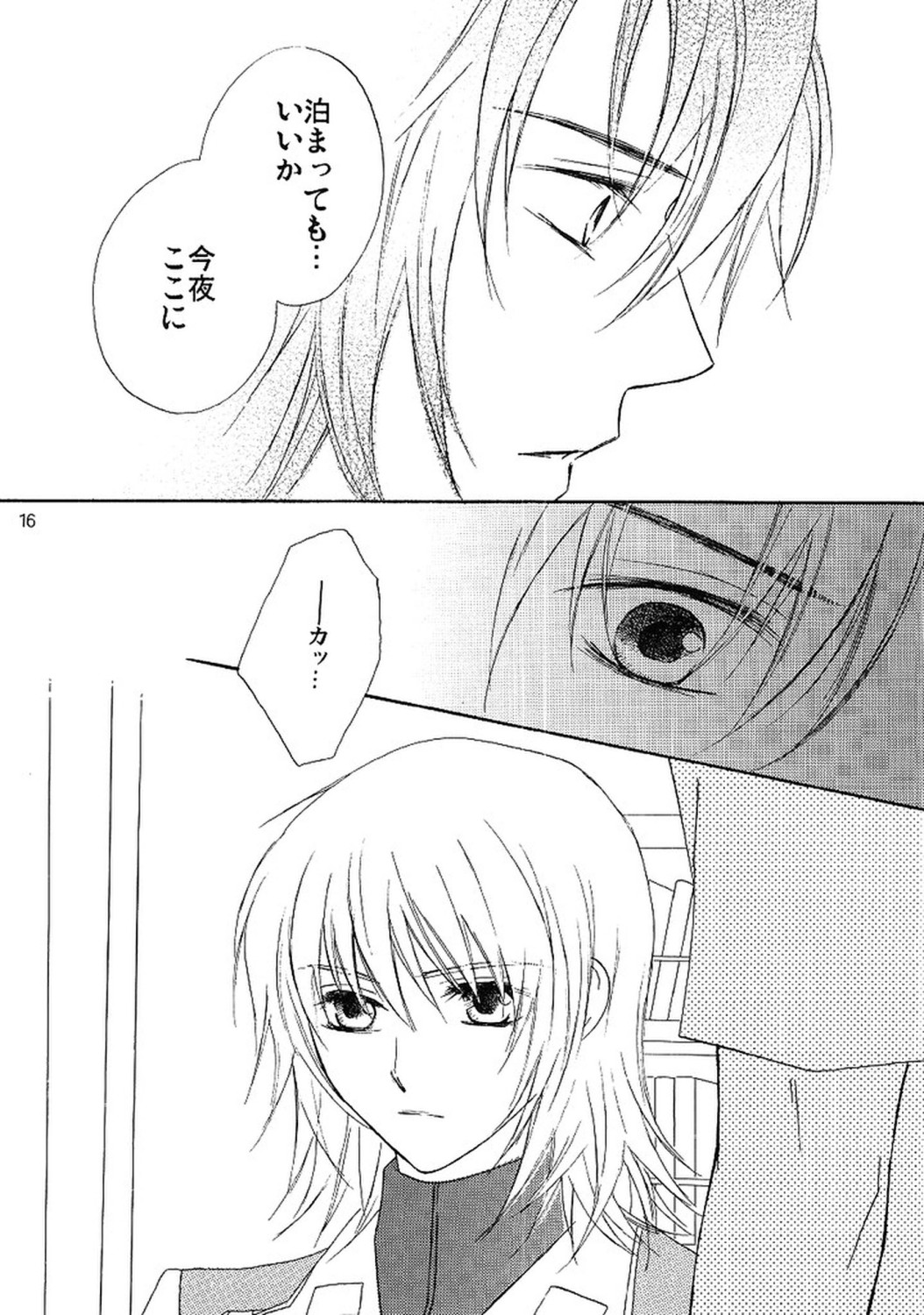 [Berry & Precious] 今宵一夜 (機動戦士ガンダムSEED DESTINY)