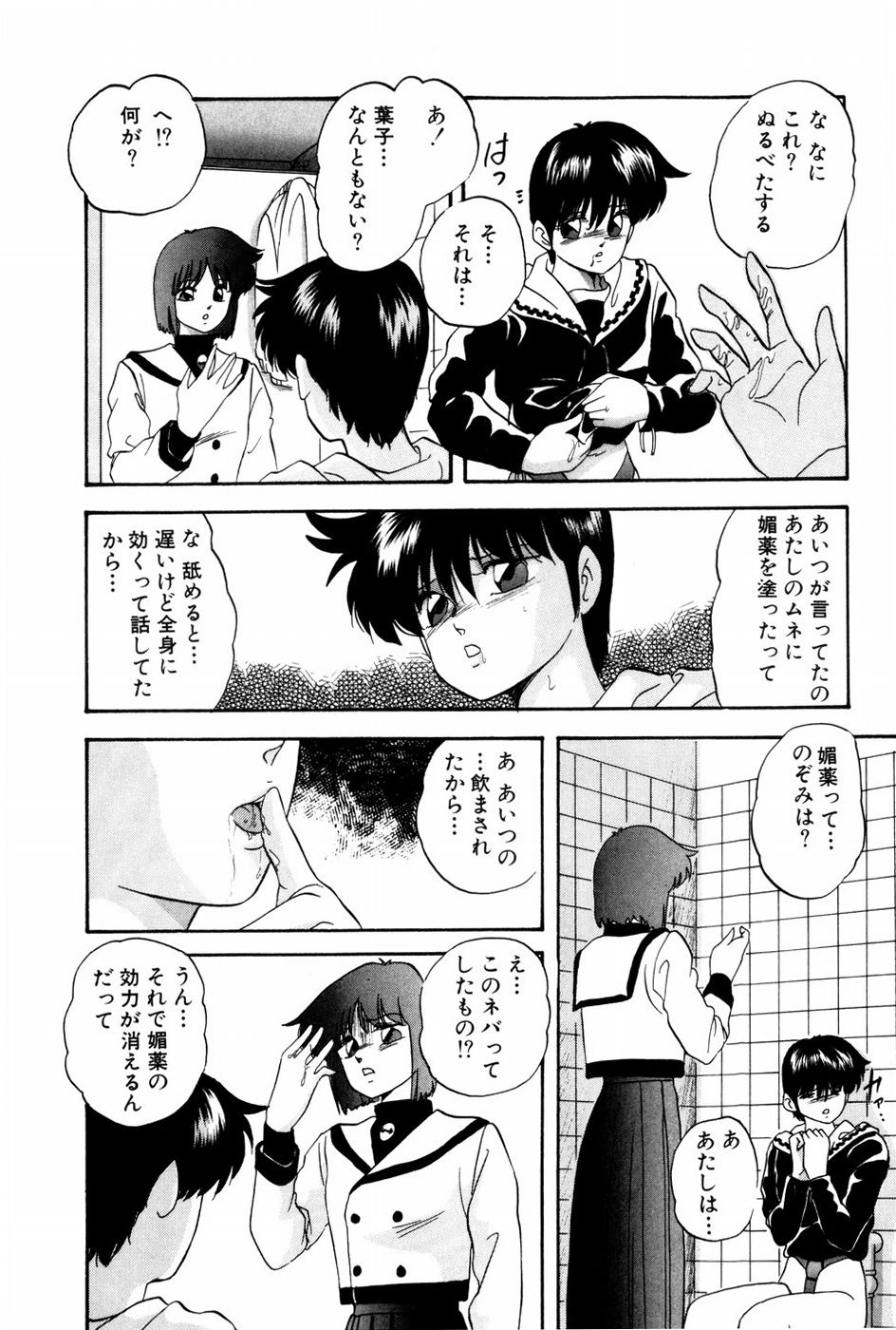 [上総志摩] バーチャルコレクション