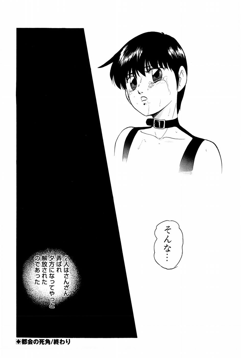 [上総志摩] バーチャルコレクション