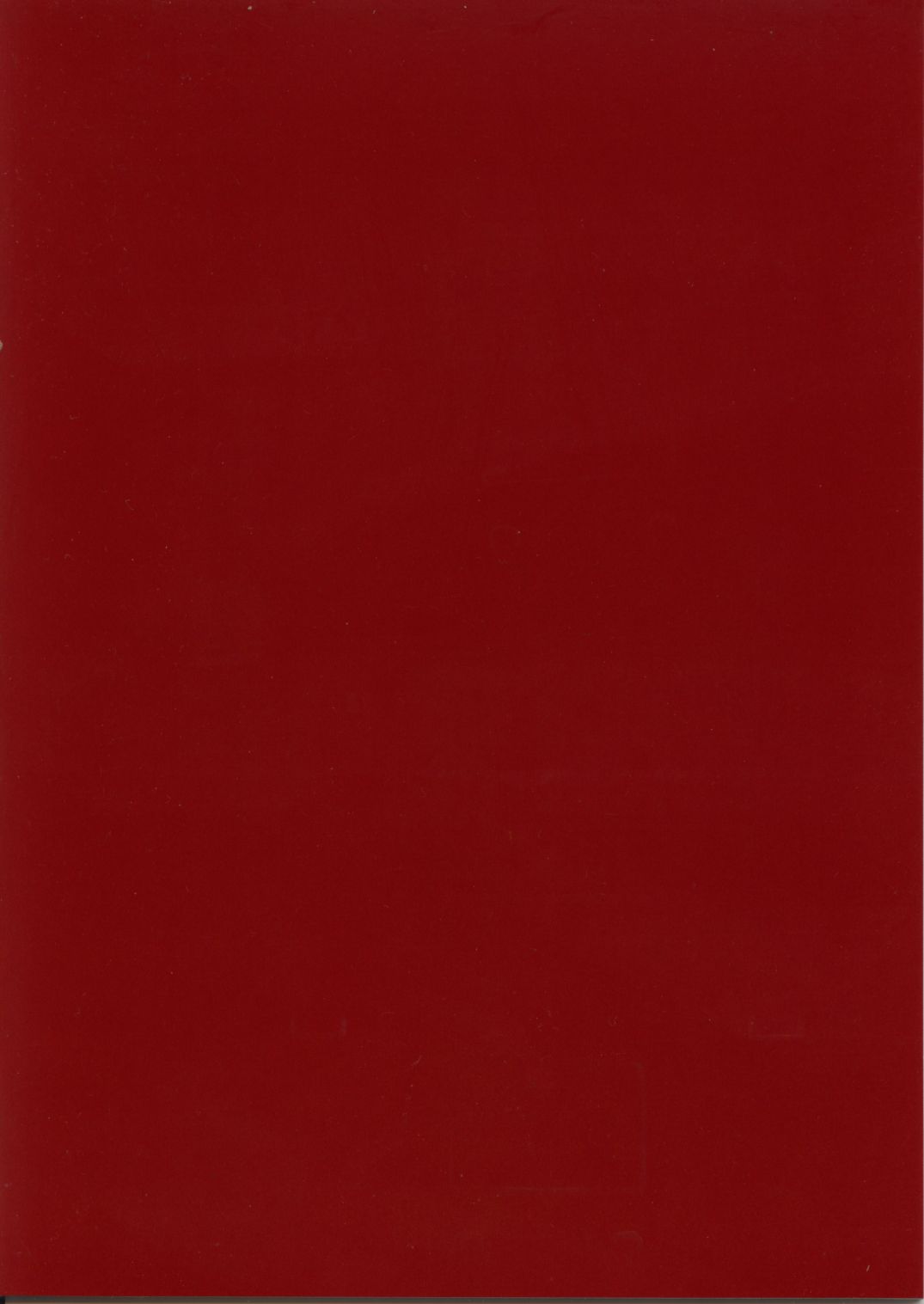 (C72) [床子屋 (鬼頭えん)] ニーナさんが大変なことになる本。vol.2 (ブレスオブファイア)