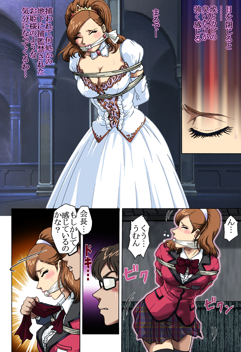 [ろじうら館 (HIRO)] 捕われの生徒会長