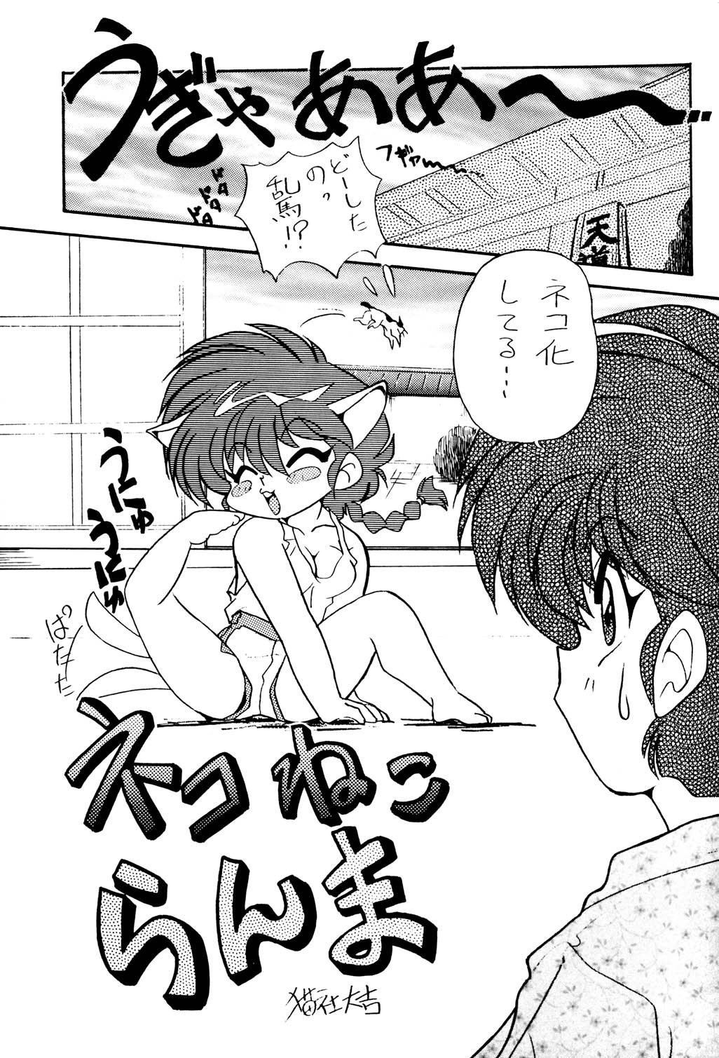 (C47) [うらりょん企画 (あらいずみるい)] らんらん乱 2 (らんま 1/2)