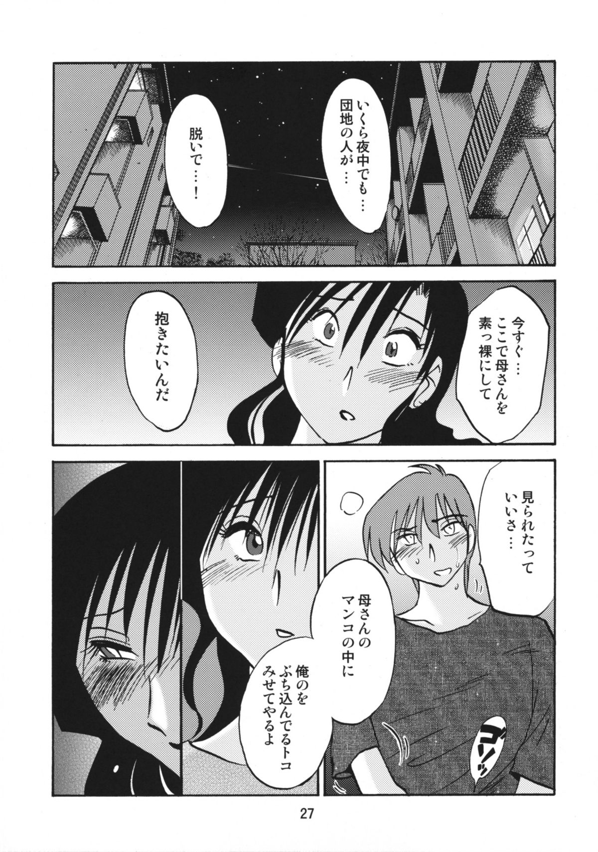 (C76) [スタジオシトミ (艶々)] たとえば母が After