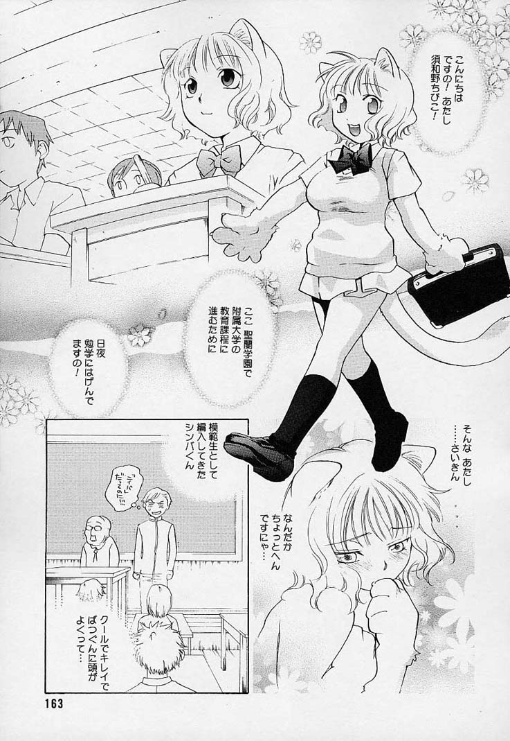 [米倉けんご] ピンクスナイパー