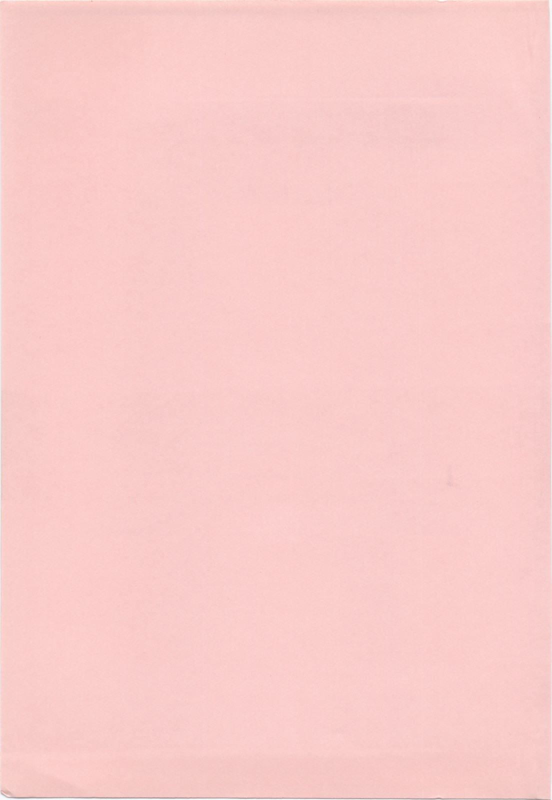 [K・みつふじ(富士参號)] ラビリンス・バスター