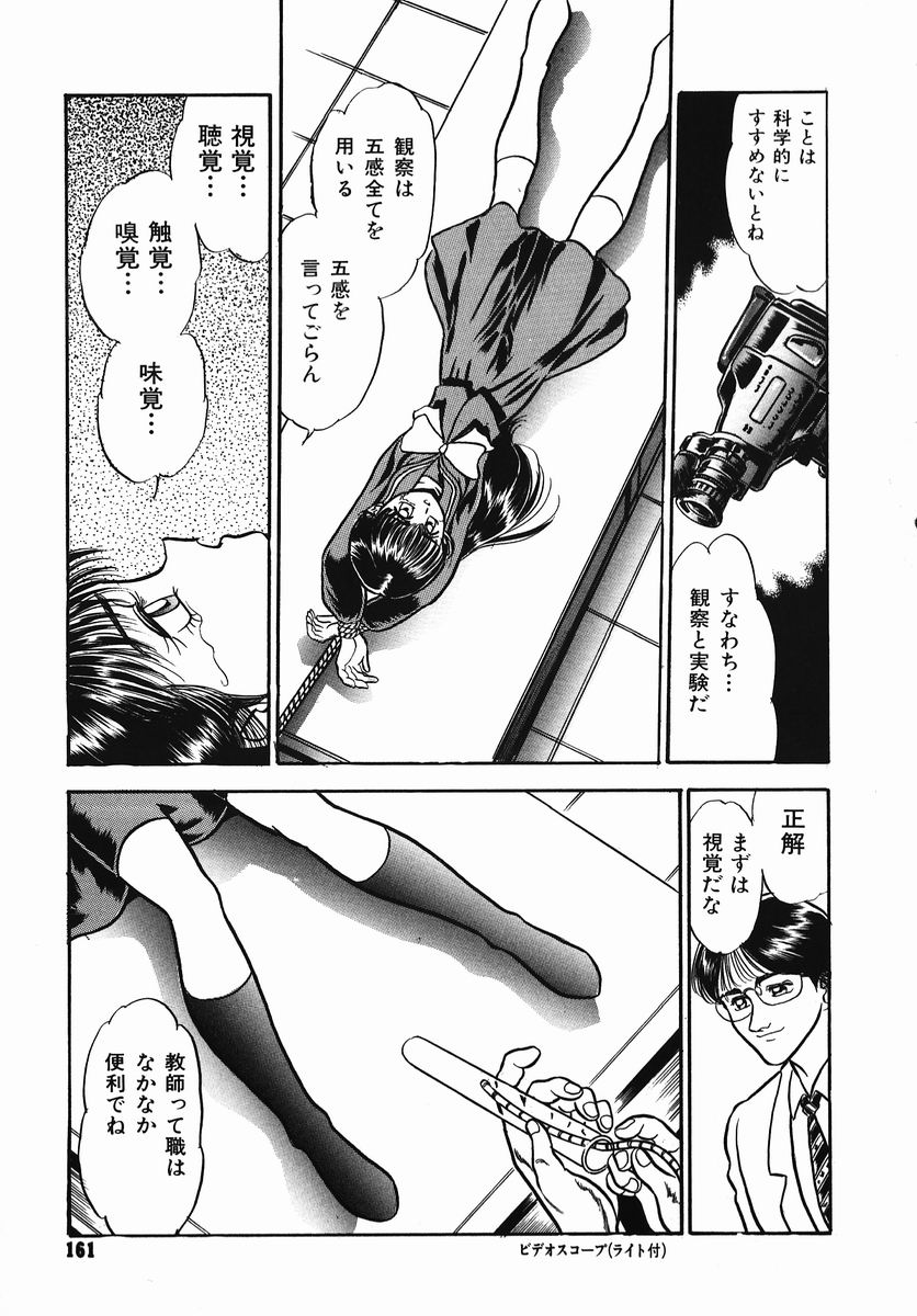 [鎌やん] 小さな玩具