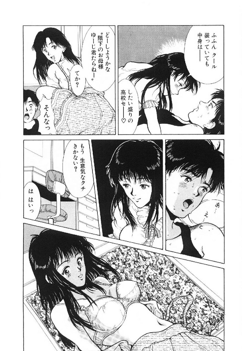 [きのした黎] きらきら☆メモリアル