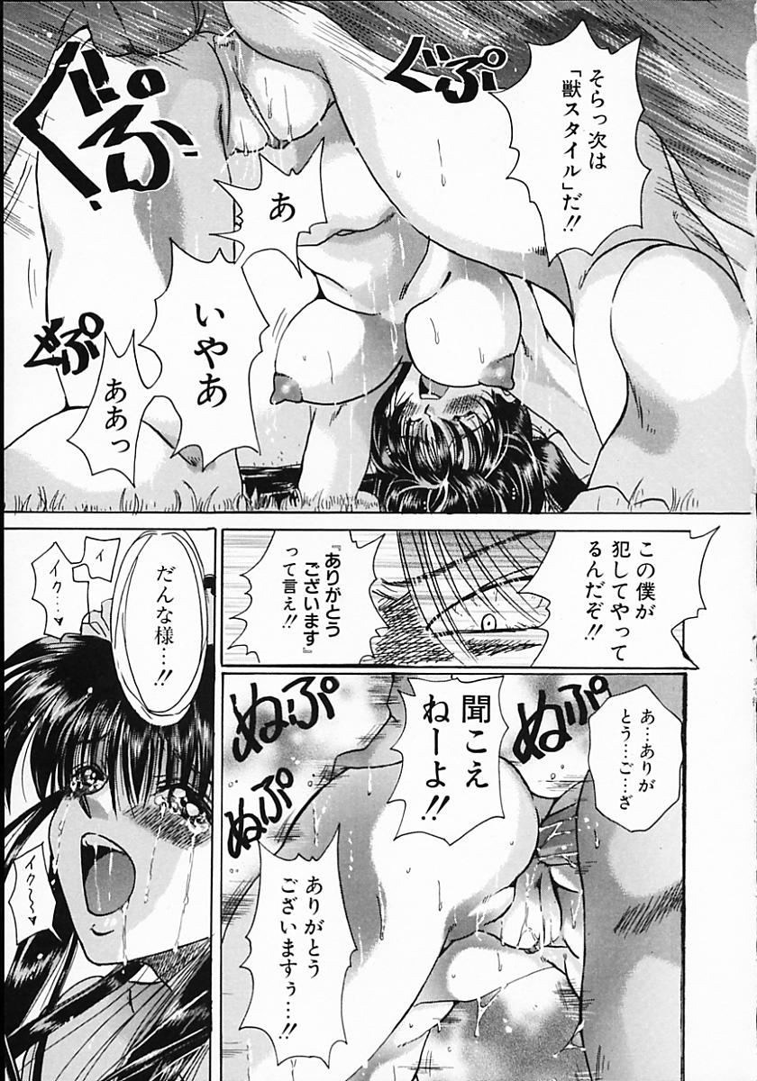 [川上聖] 暗くなるまで待って