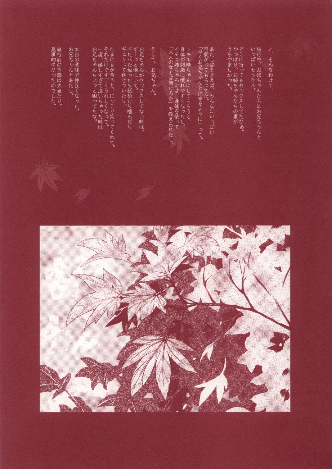 (Cレヴォ34) [恋愛漫画家 (鳴瀬ひろふみ)] おにいちゃん旅行いこっ♬ (月姫)