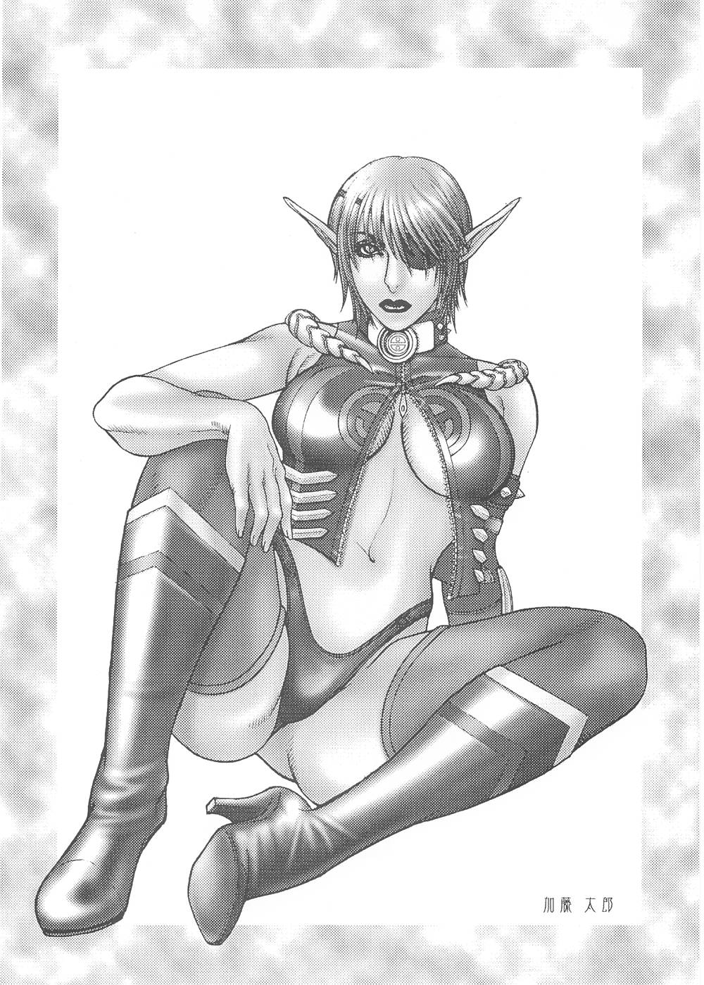 (C62) [ふろむじゃぱん (秋恭魔)] FIGHTERS GIGAMIX FGM vol.16 (デッド・オア・アライヴ)