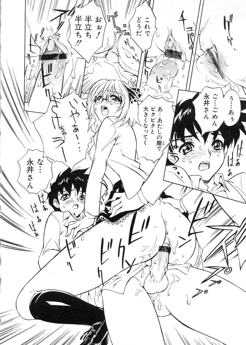 [とよますたかひろ] ビージーフォロー