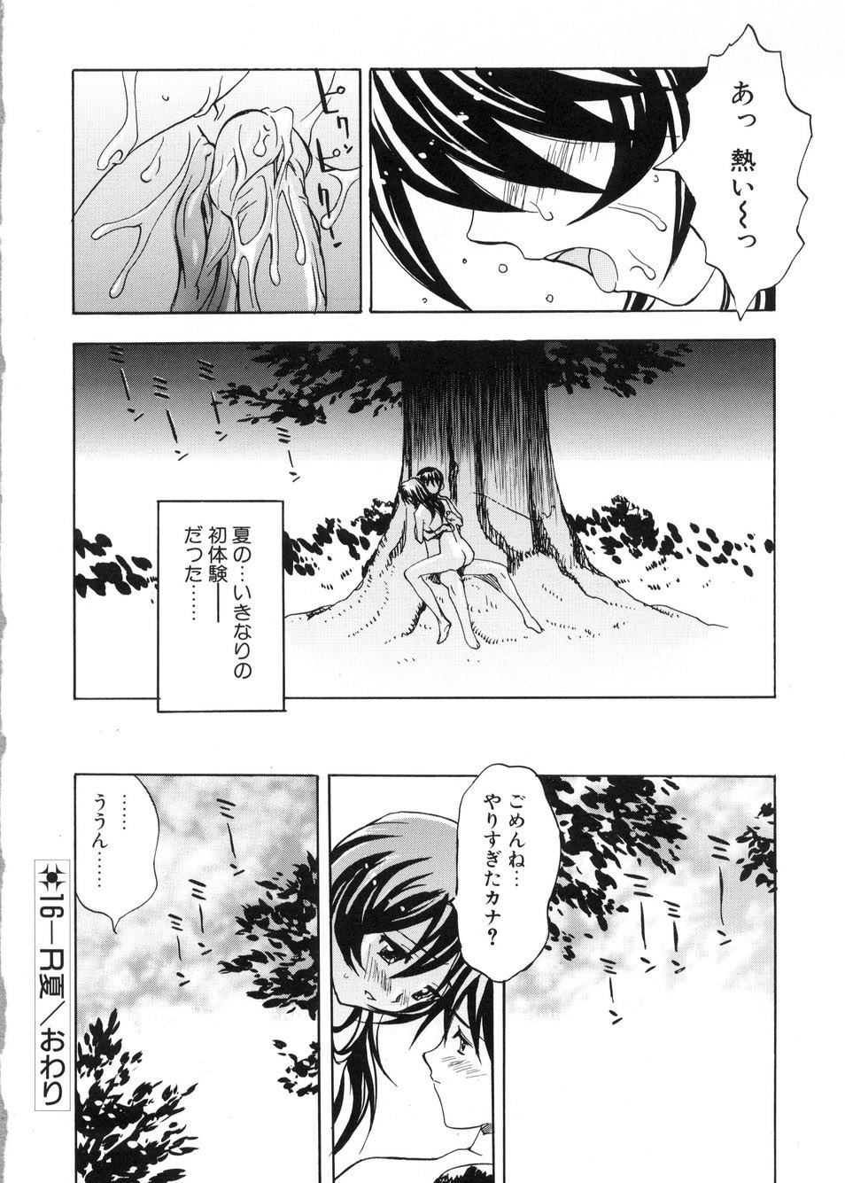 [とよますたかひろ] ビージーフォロー