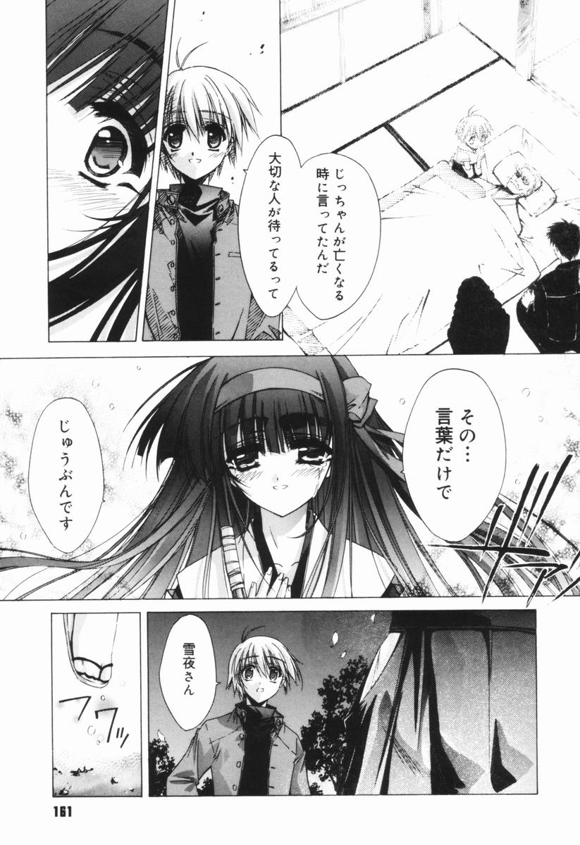 [芹沢克己] CLASSIC