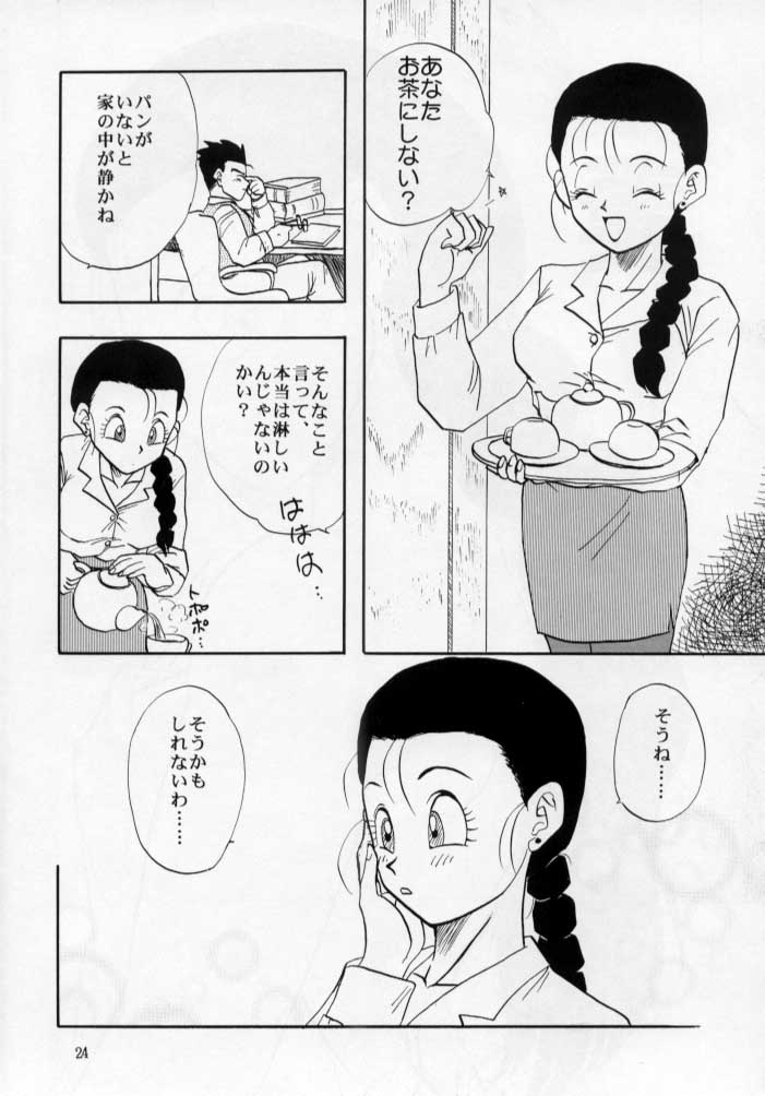 (C53) [ちり紙小屋, ふすま御殿 (障子張子)] 砲兵塔 (ドラゴンボール)