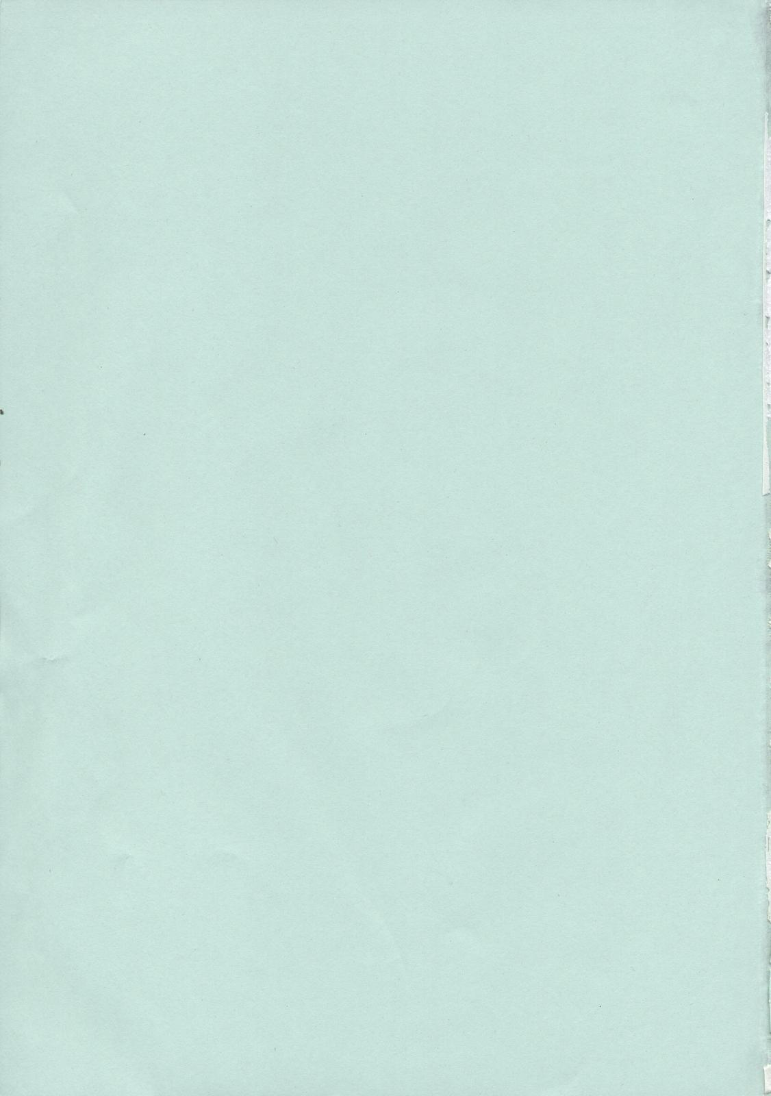 (C71) [シャルロット・ココ (ゆきやなぎ)] ゆきやなぎの本 13 レイナの絶頂コロシアム (クイーンズブレイド)