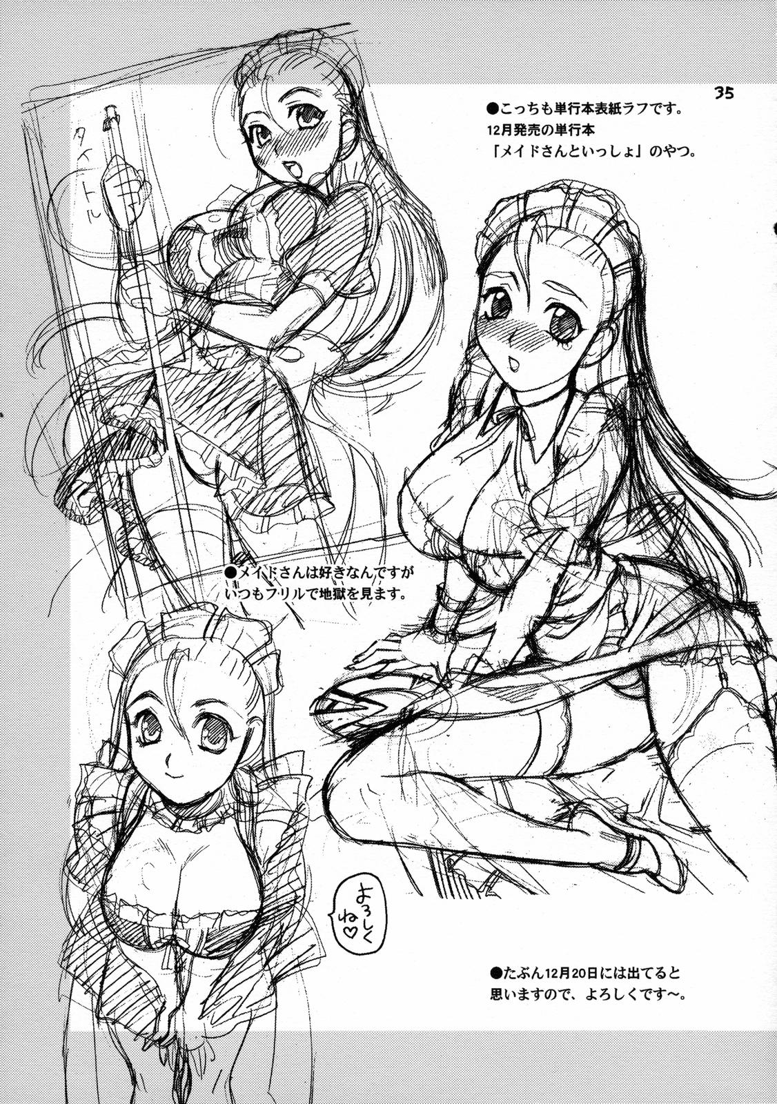 (C71) [シャルロット・ココ (ゆきやなぎ)] ゆきやなぎの本 13 レイナの絶頂コロシアム (クイーンズブレイド)