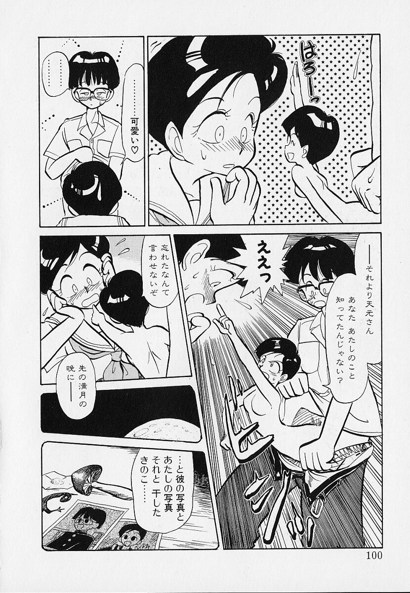 [陽気婢] いつもギラギラする日