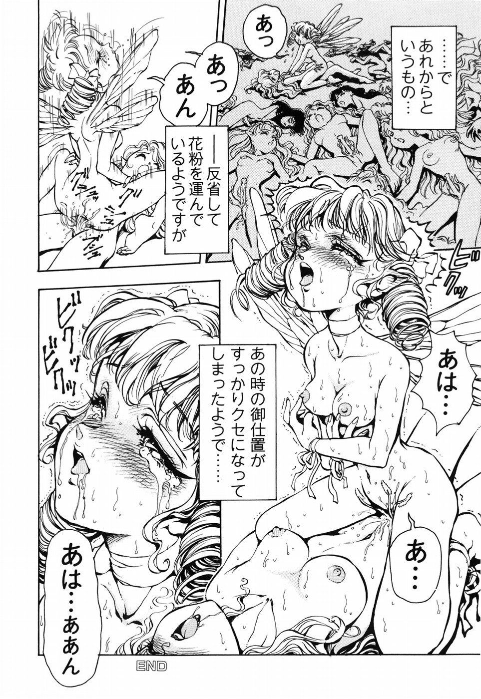 [DAPHNIA] 秘密の花園