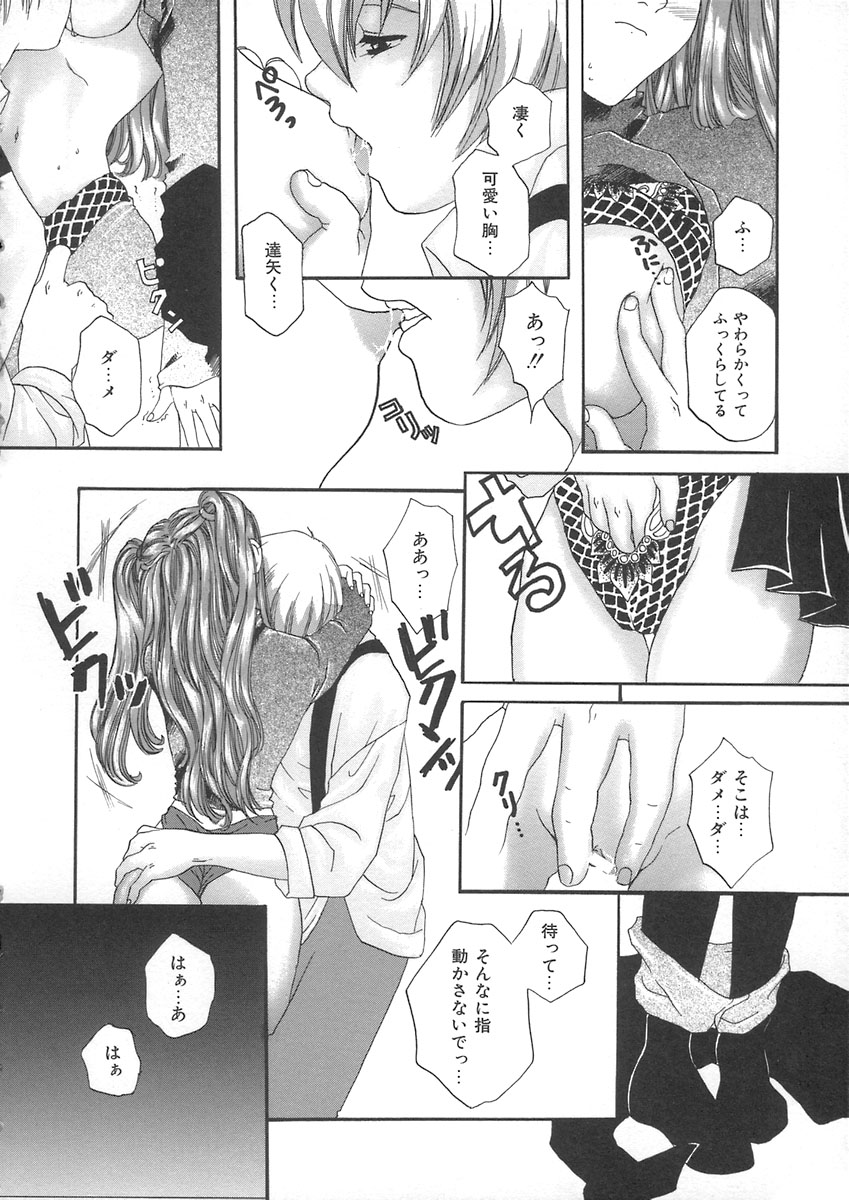 [貴騎琉] ハルジオン