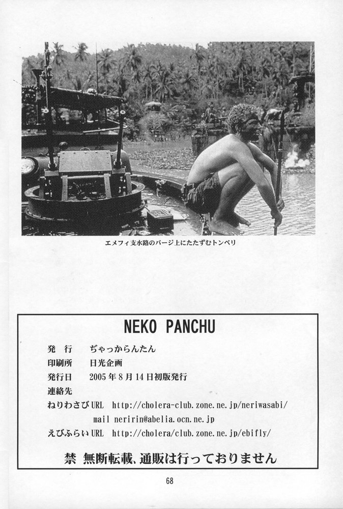 (C68) [ぢゃっからんたん (えびふらい、ねりわさび)] NEKO PANCHU (ファイナルファンタジーXI)