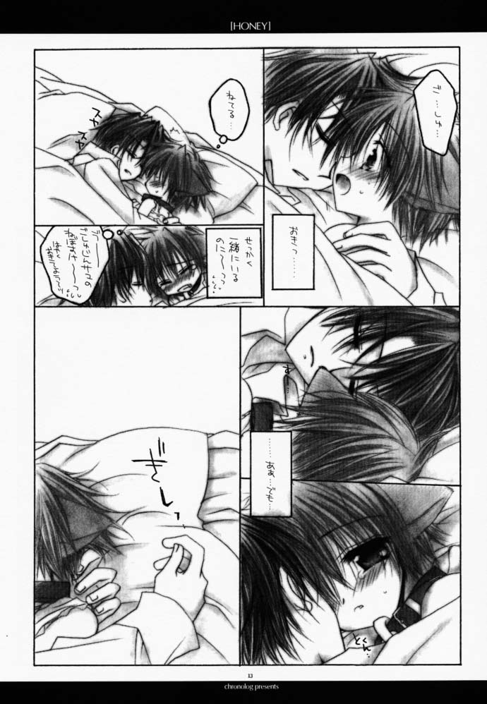 (Cレヴォ27) [CHRONOLOG (Kanaru Fujimiya, 桜沢いづみ)] HONEY (真・女神転生if…)