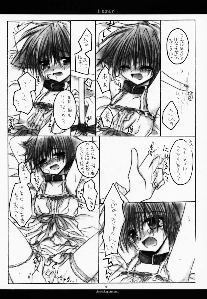 (Cレヴォ27) [CHRONOLOG (Kanaru Fujimiya, 桜沢いづみ)] HONEY (真・女神転生if…)