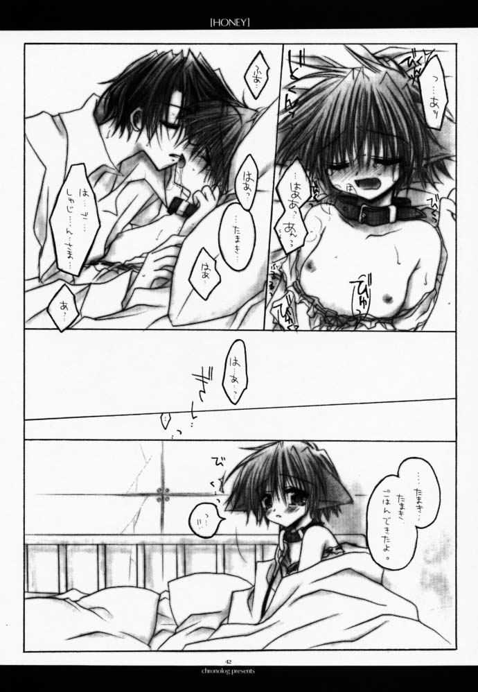 (Cレヴォ27) [CHRONOLOG (Kanaru Fujimiya, 桜沢いづみ)] HONEY (真・女神転生if…)