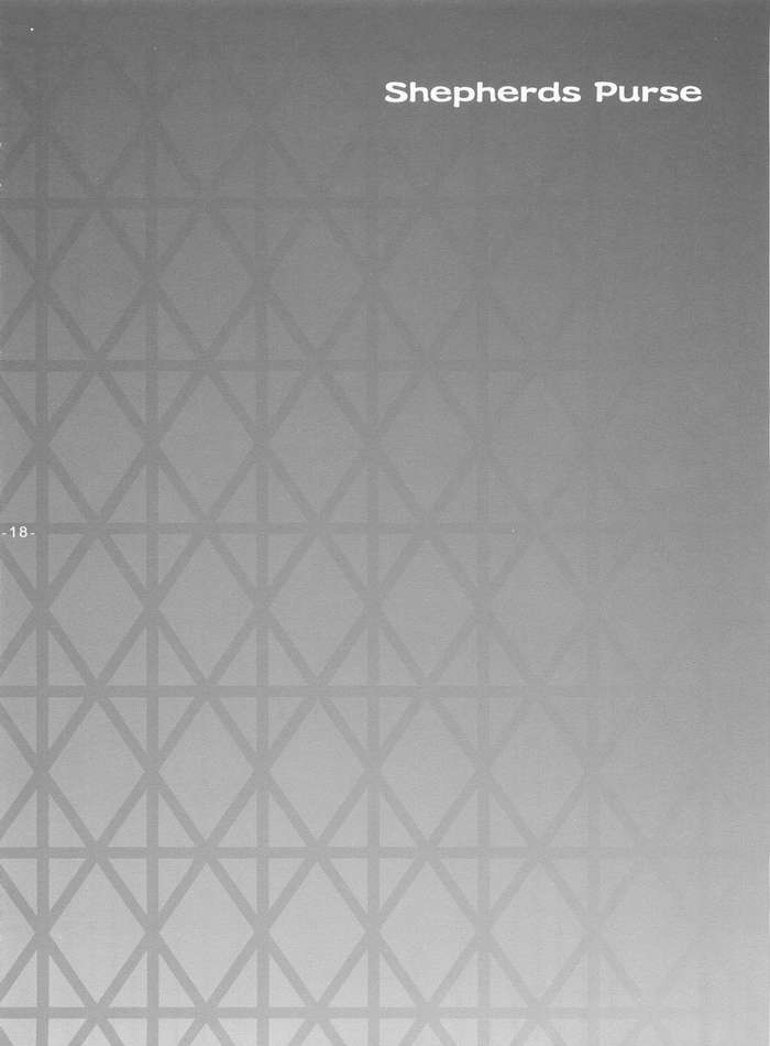 [天軸屋 (望月奈々)] Another Girl II (Fate/stay night)