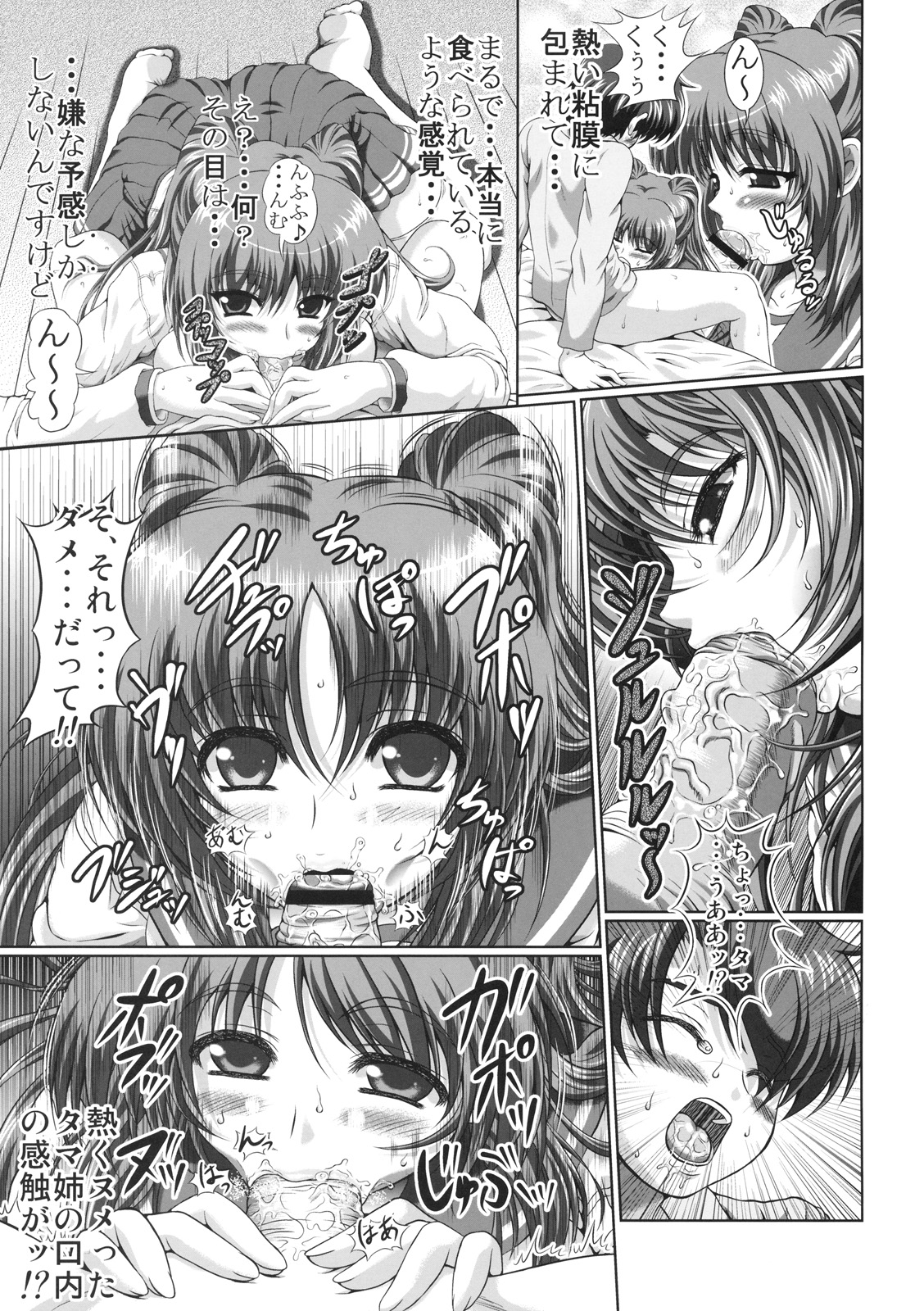 [戯画すれい部] 環さんの恋人上 改定版 (ToHeart 2)