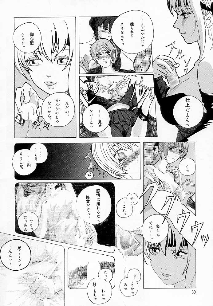 [チームグレート] Marron Glace ++（Dead or Alive）