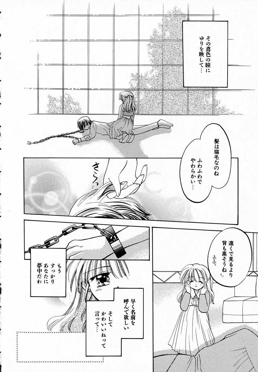 [宇佐美渉] PRISM