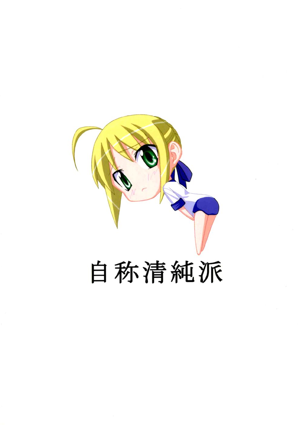(C67) [自称清純派 (ヒロユキ)] プラトニックマジシャンH (Fate/stay night)