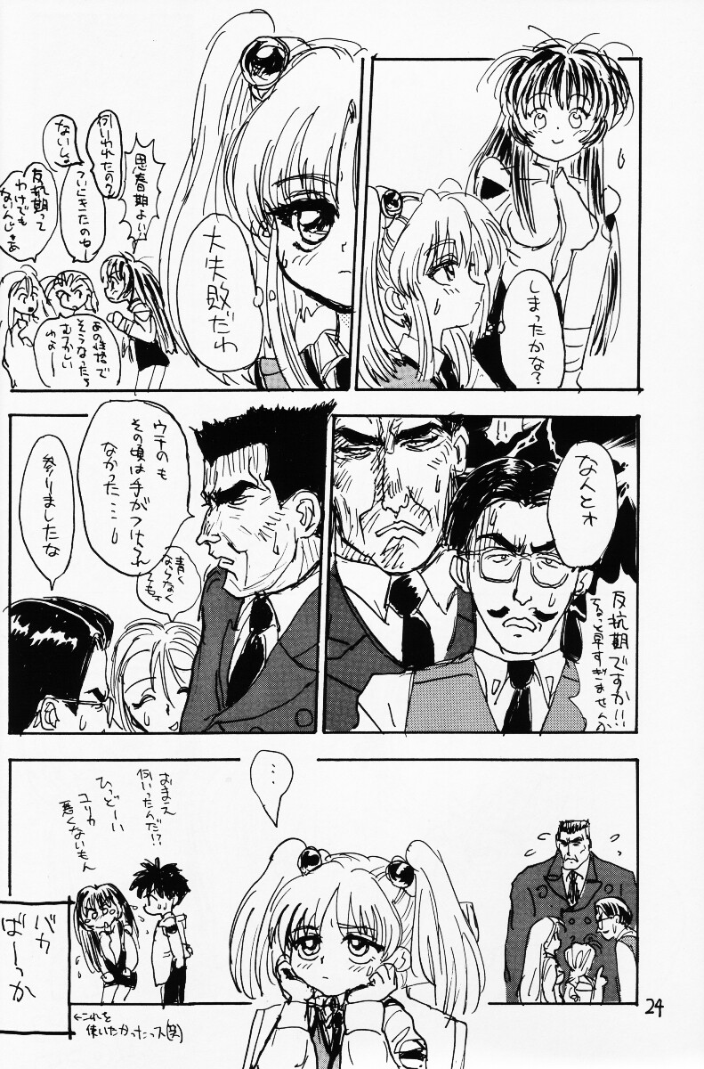 (CR20) [酸欠集 (さんずい)] バカって言ってルリちゃん (機動戦艦ナデシコ)