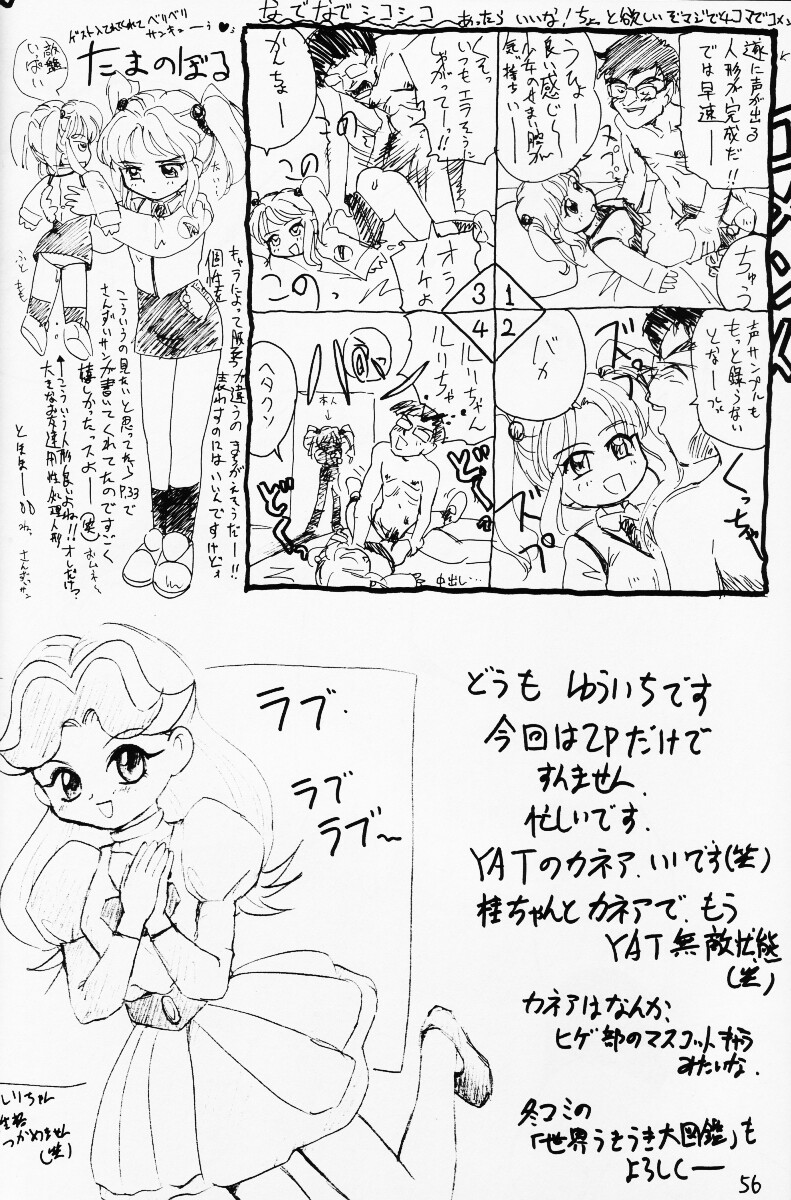 (CR20) [酸欠集 (さんずい)] バカって言ってルリちゃん (機動戦艦ナデシコ)