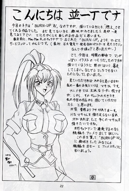 WF（バーンアップW）