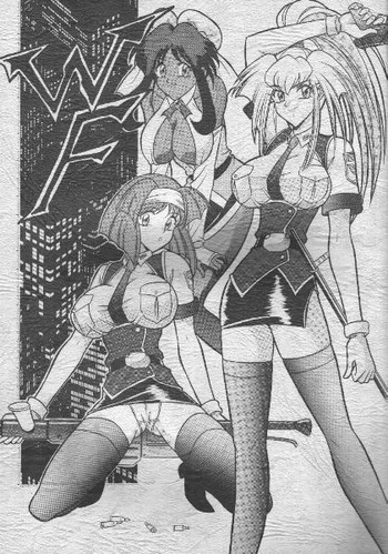 WF(バーンアップW) WF(バーンアップW)