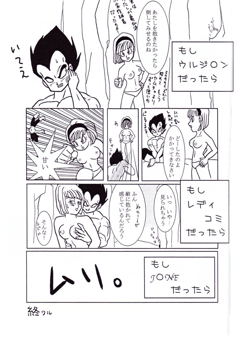 ベジータとブルマの愛（ドラゴンボール）