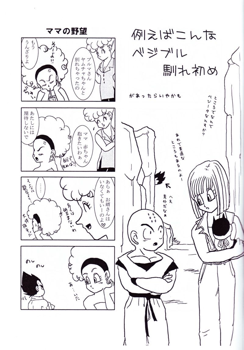 ベジータとブルマの愛（ドラゴンボール）