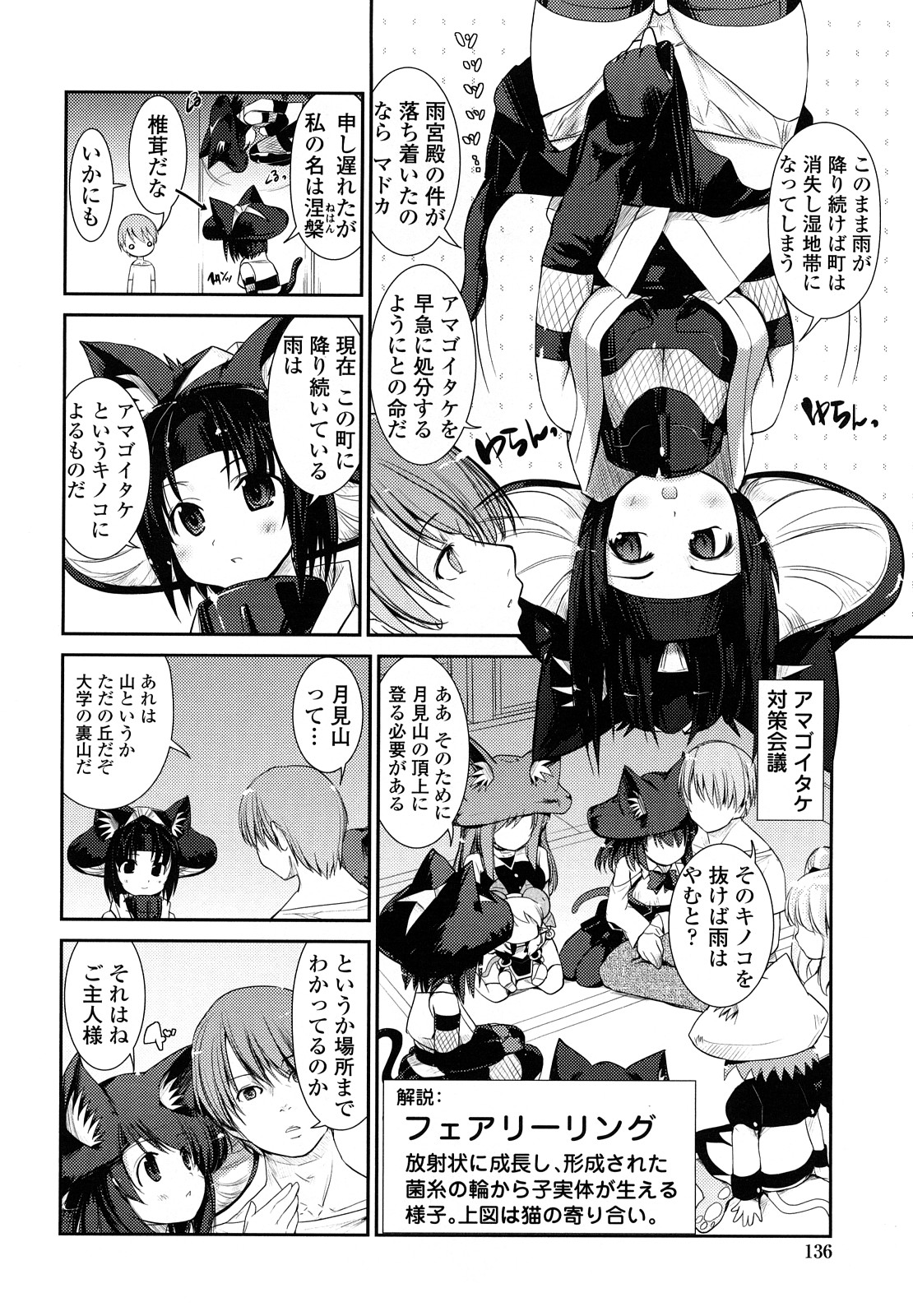 [にびなも凸面体] ネコキノと雨の町