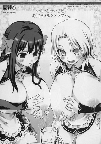 (C76) [Fatalpulse (朝凪)] 画礫6 (ドリームクラブ) [表紙改変]