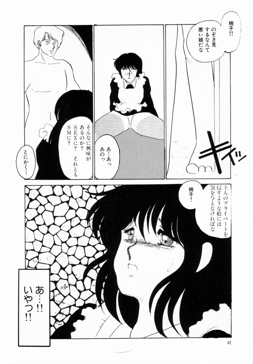 [海野やよい] 始まる夜のために