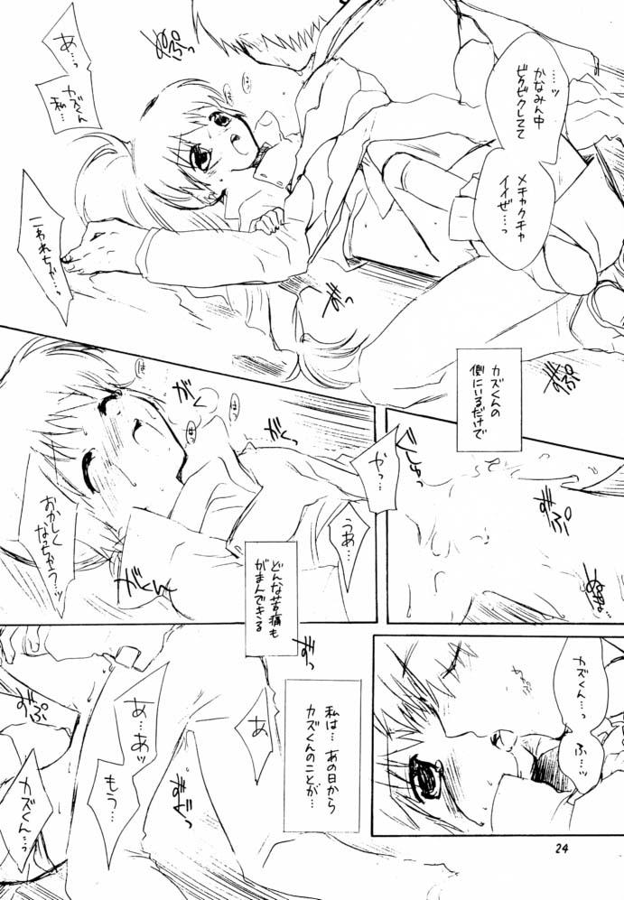 (C61) [AHM (天誅殺)] CRYING Freeman (スクライド)