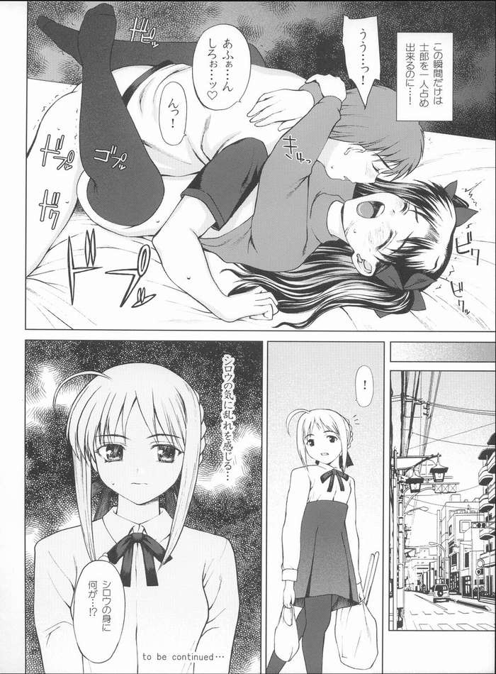 [Precious HEART] 私の本当の気持ち。(Fate/Stay Night)
