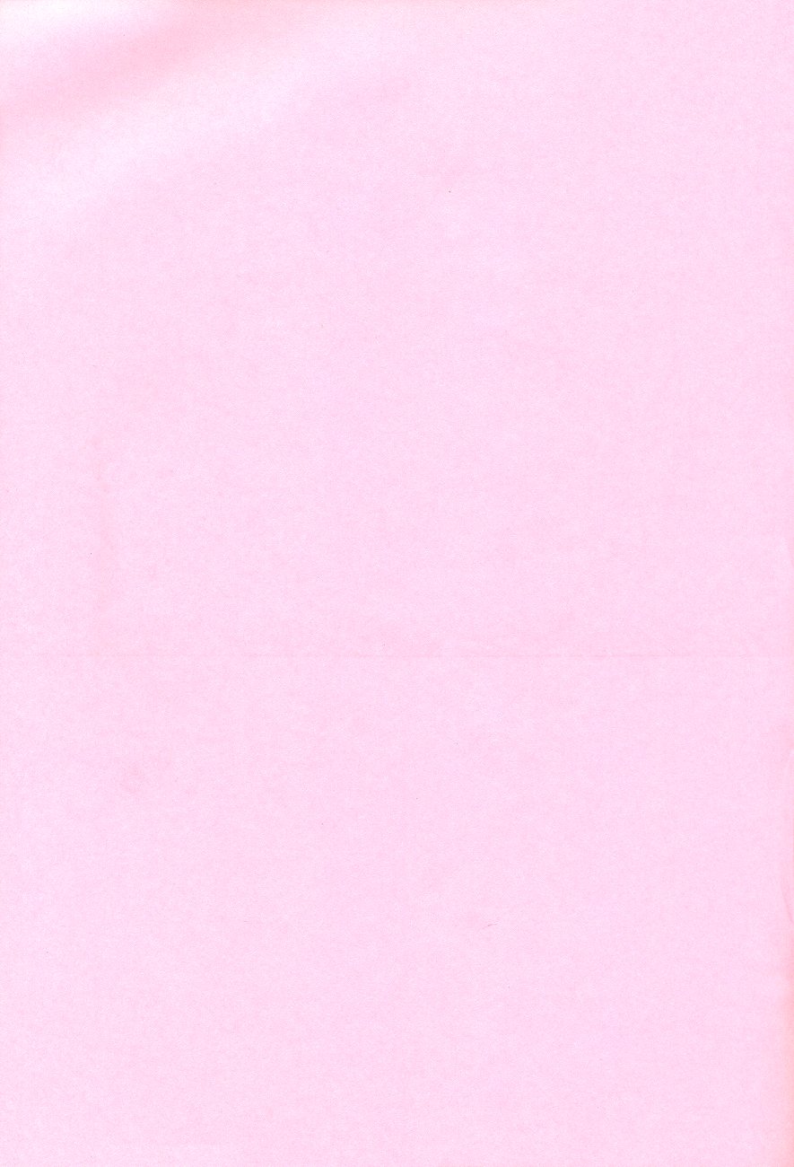 (C55) [Galaxist (BLADE)] GALAXISM ZEALOT (よろず)