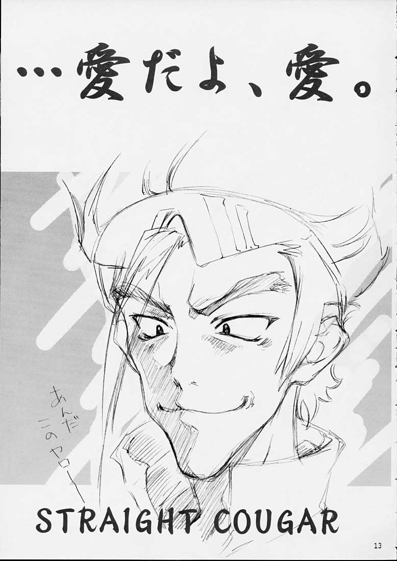 (C61) [さくら工房 (桜小鉄)] Good-Speed (スクライド)