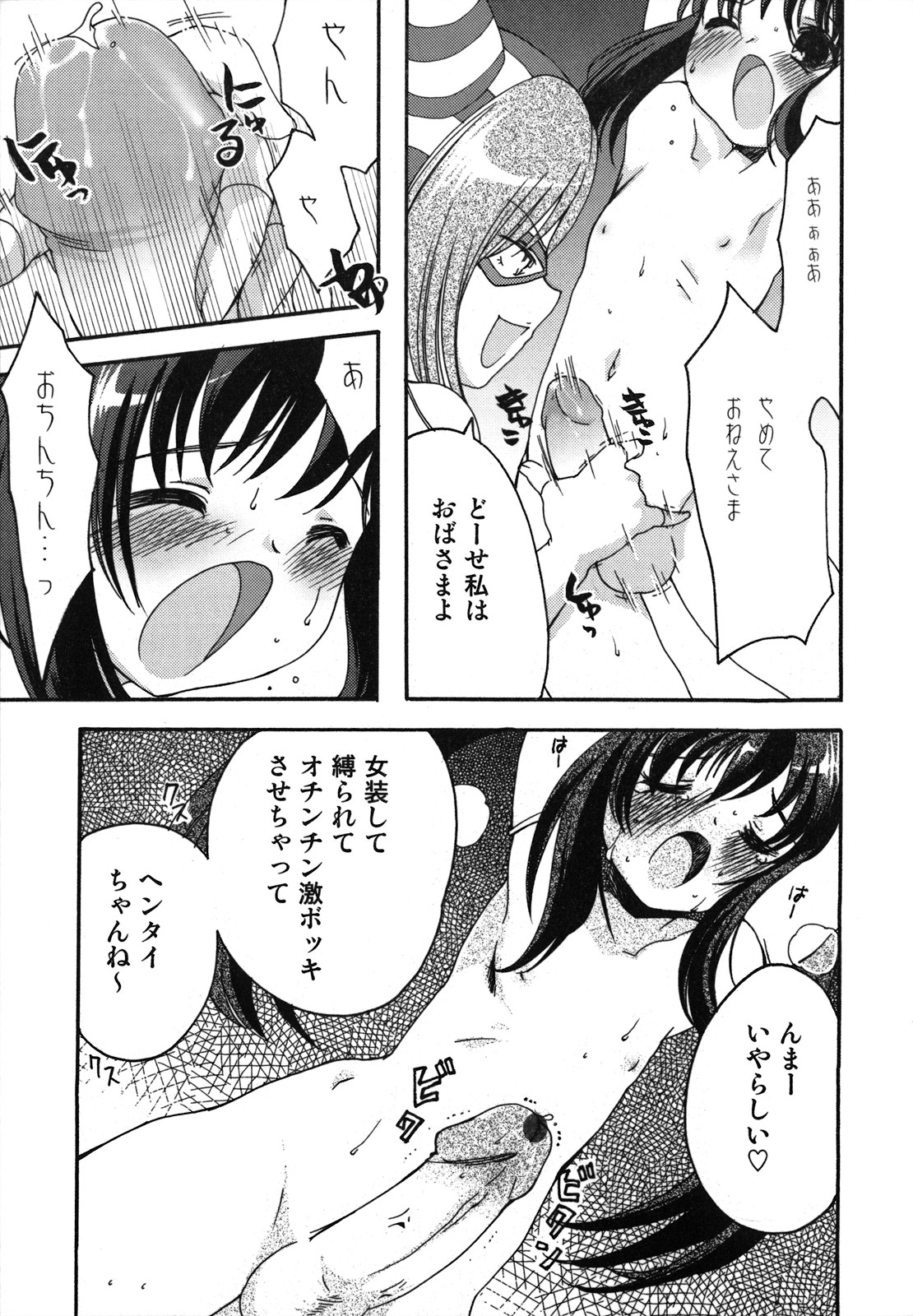 [シルエットさくら] くずざくら [2009-06-10]